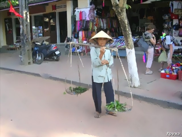 индивидуальные туры в вьетнам