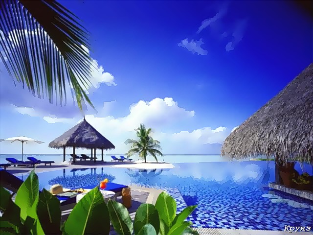 maldivis1.jpg