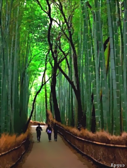 bambuk1.jpg