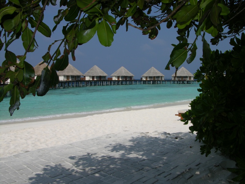 raiskie-beach-maldiv.JPG