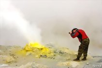 ������� ����������� �� ��������