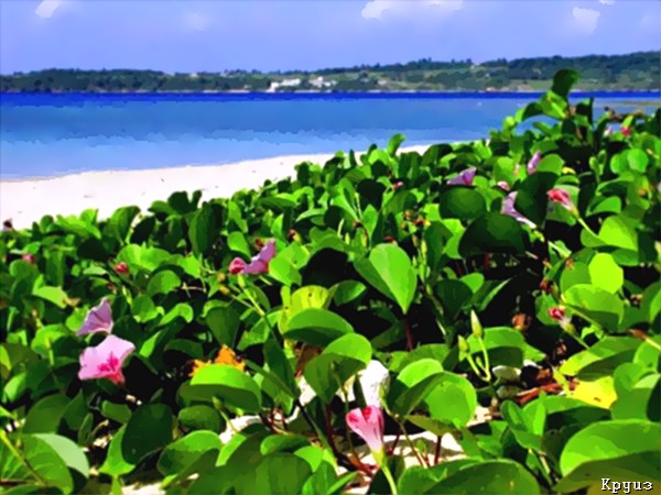 Пляжный отдых в Окинава