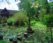ubud12.jpg