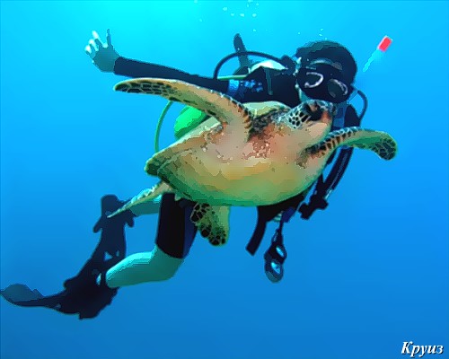 thumbs_hawaii-diving.jpg