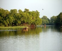 Arugam-Bay-Lagoon.jpg