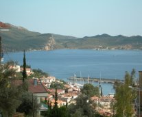 vid-kash-turkey.jpg